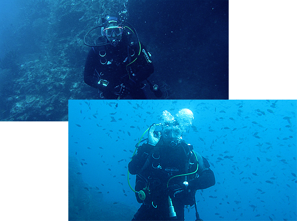 Olivier Santini while diving, looking for shells underwater